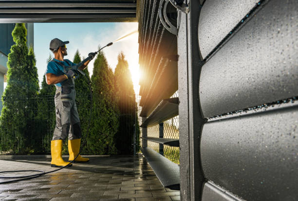 Animal Enclosure Cleaning in Eatonville, FL